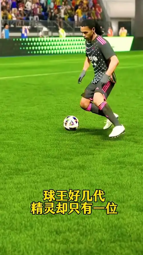 例分析和深